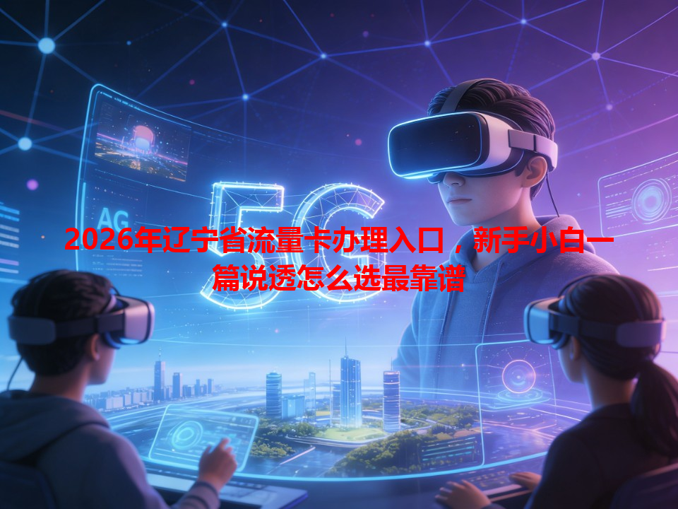 2026年辽宁省流量卡办理入口，新手小白一篇说透怎么选最靠谱