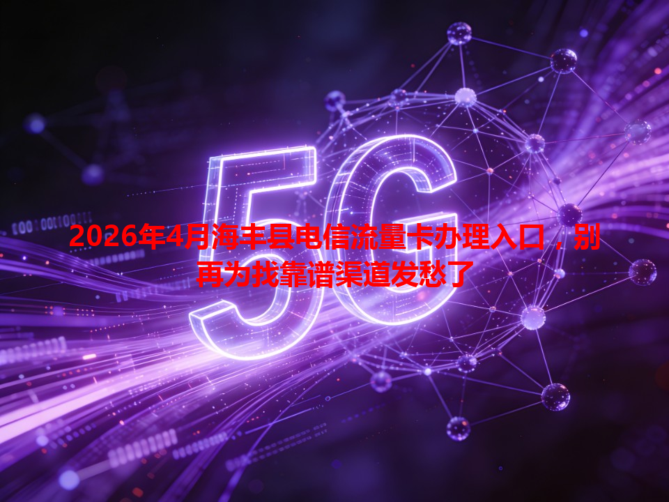2026年4月海丰县电信流量卡办理入口，别再为找靠谱渠道发愁了