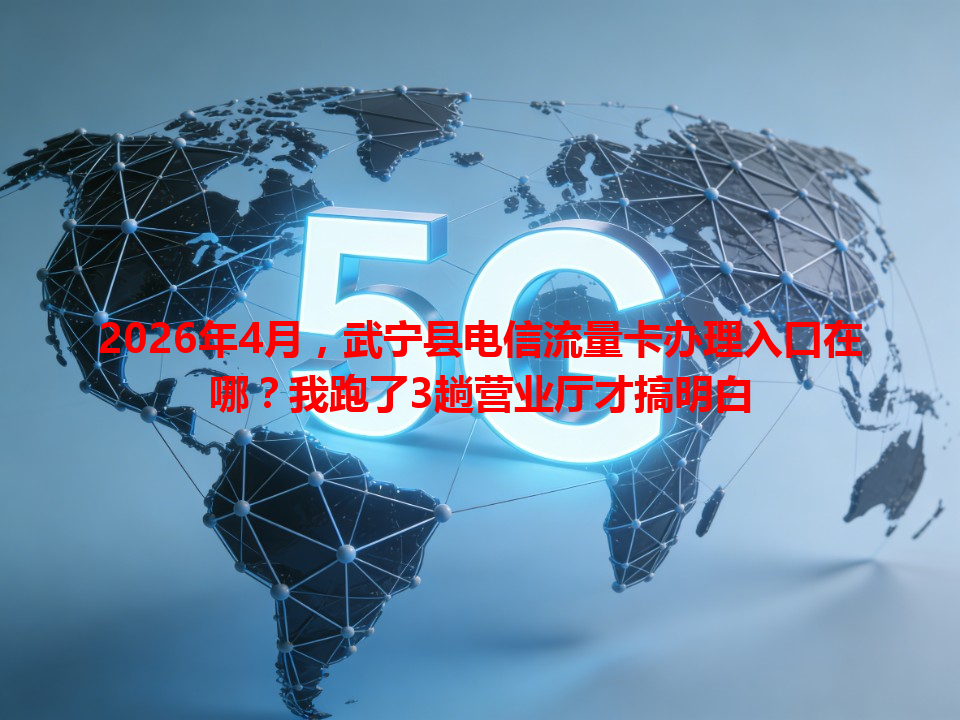 2026年4月，武宁县电信流量卡办理入口在哪？我跑了3趟营业厅才搞明白
