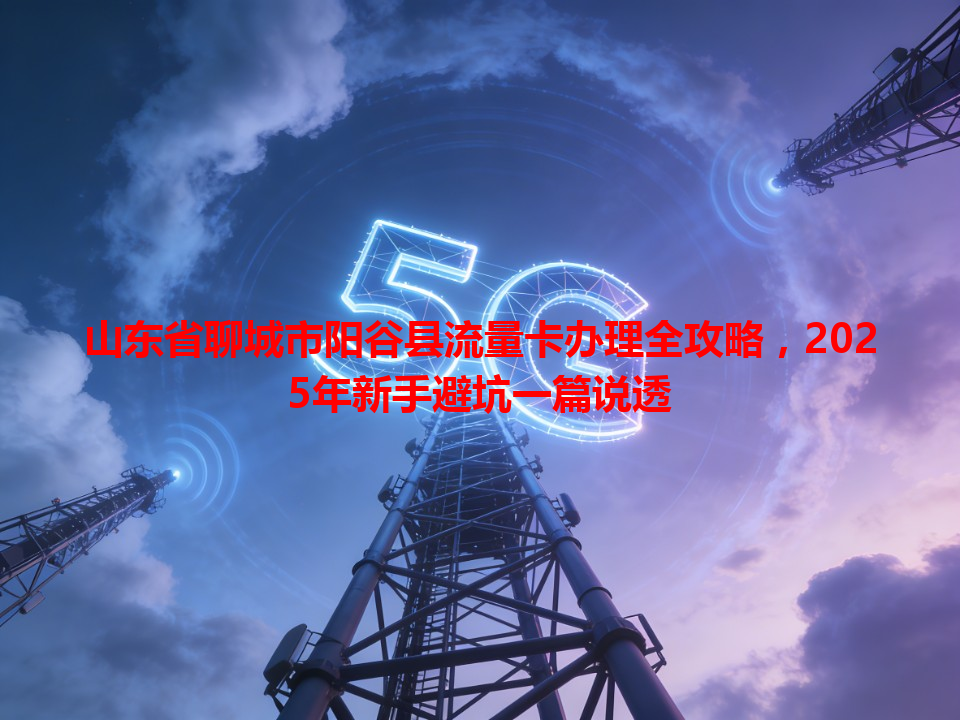 山东省聊城市阳谷县流量卡办理全攻略，2025年新手避坑一篇说透
