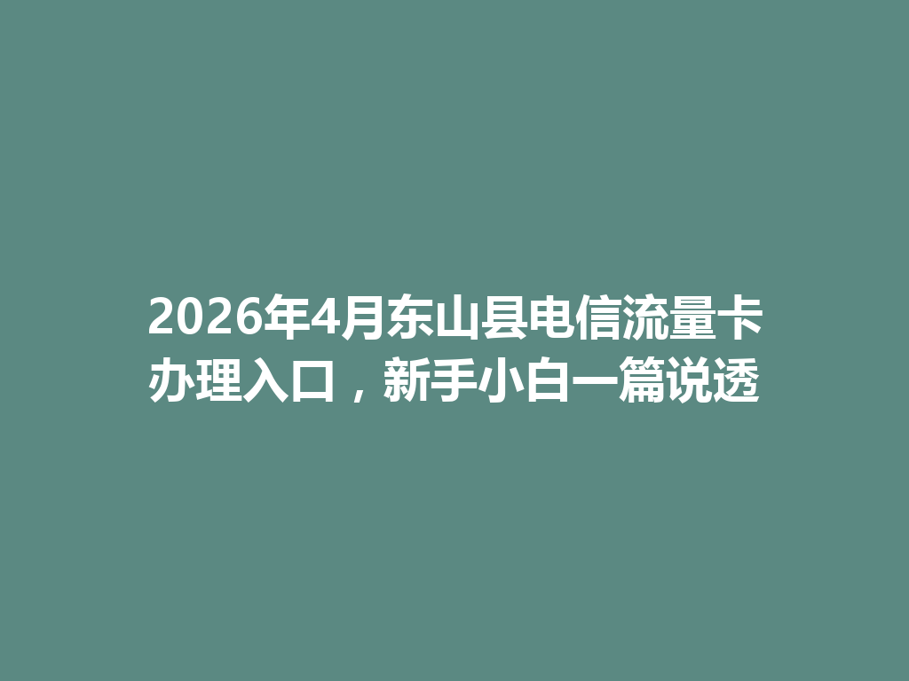 2026年4月东山县电信流量卡办理入口，新手小白一篇说透