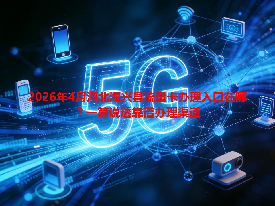 2026年4月河北海兴县流量卡办理入口在哪？一篇说透靠谱办理渠道