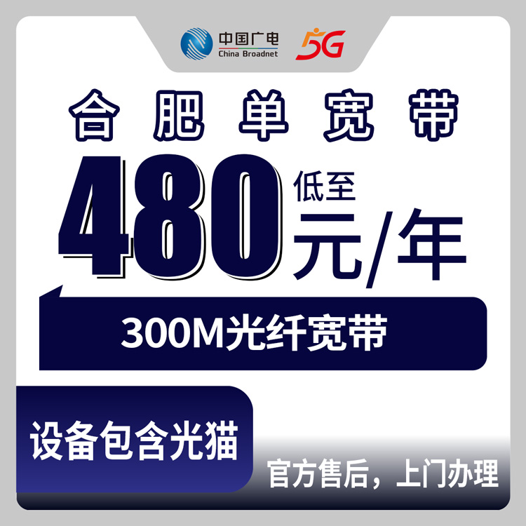 2026年10月13日安徽省合肥肥东县广电300M单宽480元包年怎么选？本地人实测避坑分享