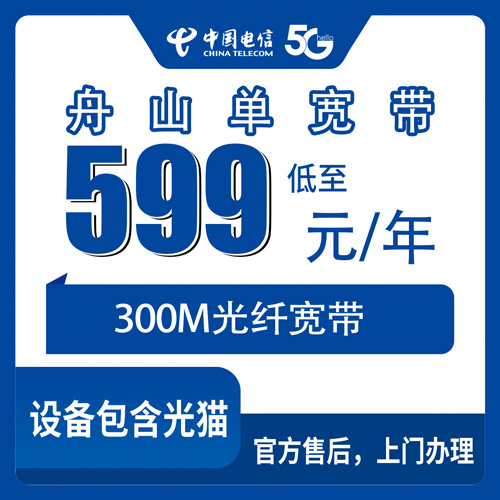 2026年10月23日浙江省舟山岱山县电信单宽带599包年300M怎么装？本地师傅上门流程和踩坑记录