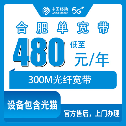 2026年10月26日安徽省合肥肥西县移动300M单宽带480元包年怎么申请？本地师傅上门安装流程和资费实测
