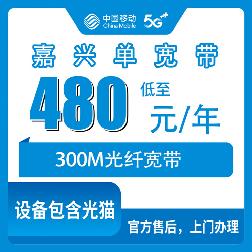 2026年10月27日浙江省嘉兴嘉善县移动单宽带480元包年300M怎么申请？本地师傅上门安装和资费明细